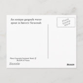 Savannah Gargoyle Post Card Postkarte (Rückseite)