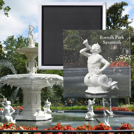 Savannah Georgia Forsyth Park Fountain Magnet