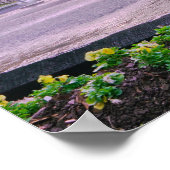 Savannah Georgia Forsyth Park Fountain Poster (Ecke)