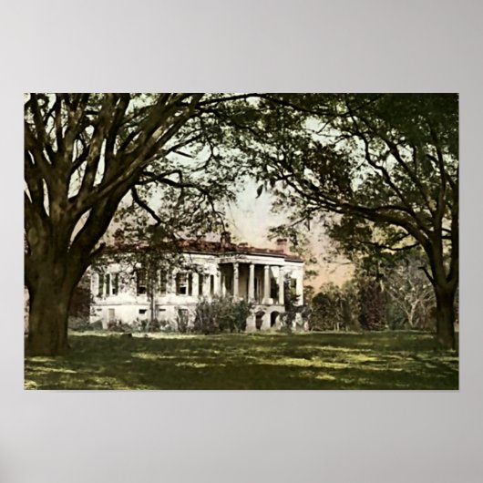 Savannah, Georgia Hermitage Plantage Poster (Vorne)