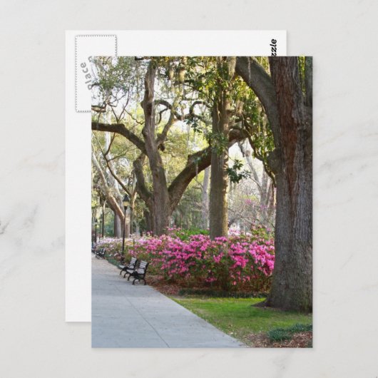Savannah Georgia im Spring Forsyth Park Azaleas Oa Postkarte (Vorne/Hinten)