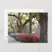 Savannah Georgia im Spring Forsyth Park Azaleas Oa Postkarte (Vorne/Hinten)