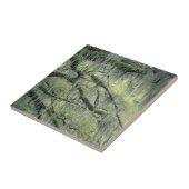 Savannah, Georgia, Live-Eiche mit Fliese (Seite)