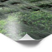 Savannah, Georgia, Live-Eiche mit Fotodruck (Ecke)