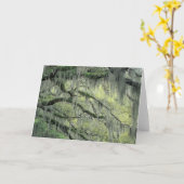 Savannah, Georgia, Live-Eiche mit Karte (Gelbe Blume)