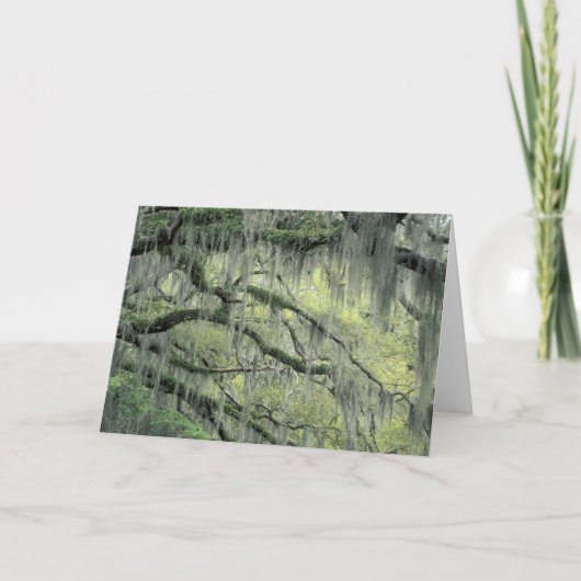 Savannah, Georgia, Live-Eiche mit Karte (Vorderseite)