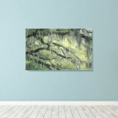 Savannah, Georgia, Live-Eiche mit Leinwanddruck (Insitu (Holzboden))