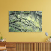 Savannah, Georgia, Live-Eiche mit Leinwanddruck (Insitu (Wohnzimmer))