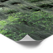 Savannah, Georgia, Live-Eiche mit Poster (Ecke)