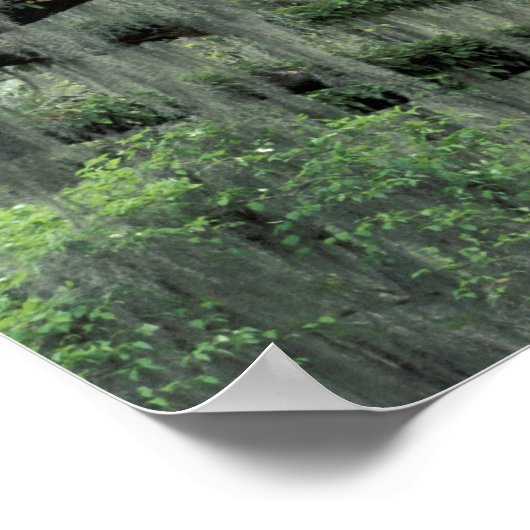 Savannah, Georgia, Live-Eiche mit Poster (Ecke)