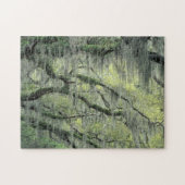Savannah, Georgia, Live Oak Baum behangen mit Puzzle (Horizontal)