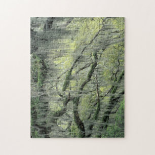 Savannah, Georgia, Live Oak Baum behangen mit Puzzle