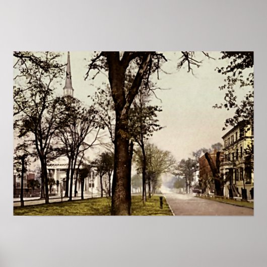 Savannah, Georgia Oglethorpe Avenue Poster (Vorne)