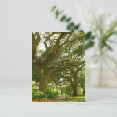 Savannah Georgia Postcard Postkarte (Stehend Vorderseite)