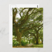 Savannah Georgia Postcard Postkarte (Vorne/Hinten)