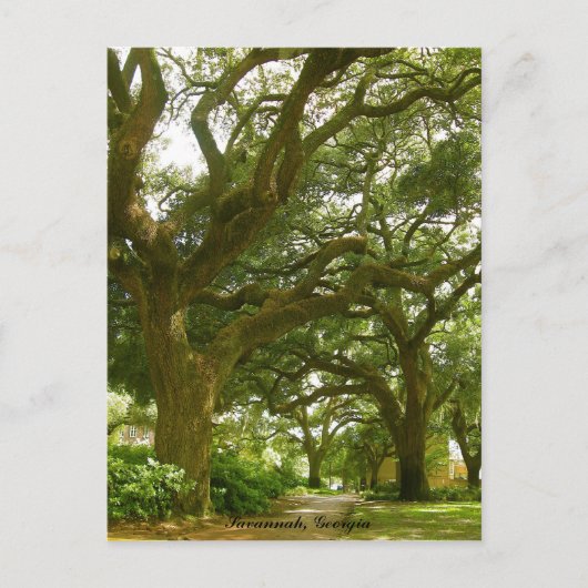 Savannah Georgia Postcard Postkarte (Vorderseite)
