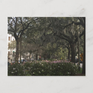 Savannah Georgia Postkarte