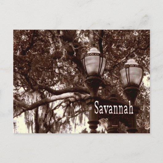 Savannah Georgia Postkarte (Vorderseite)