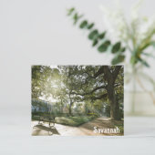 Savannah Georgia Southern Live Oak Tree Park Postkarte (Stehend Vorderseite)