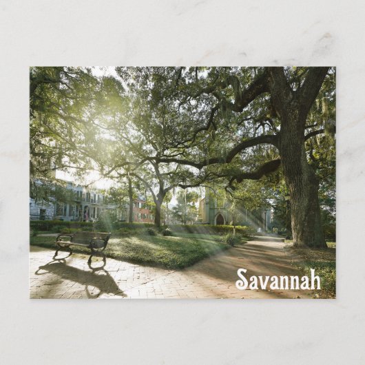 Savannah Georgia Southern Live Oak Tree Park Postkarte (Vorderseite)