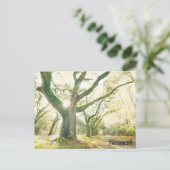 Savannah Georgia Southern Live Oak Tree Postkarte (Stehend Vorderseite)