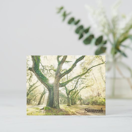 Savannah Georgia Southern Live Oak Tree Postkarte (Stehend Vorderseite)