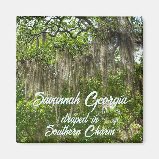 Savannah Georgia Spanische Moos dran Live Oaks Magnet (Vorne)