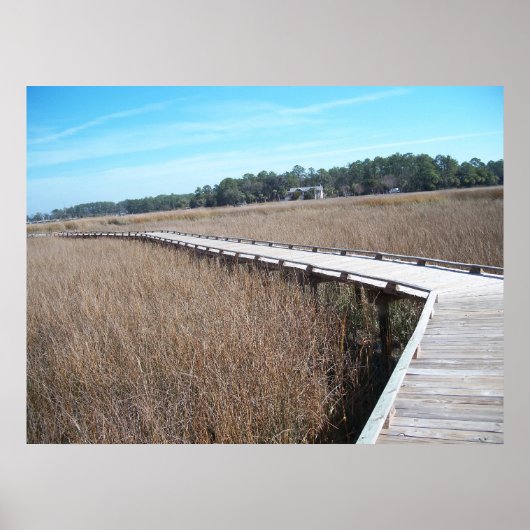 Savannah Georgia Tybee Island Path Trail Poster GA (Vorne)