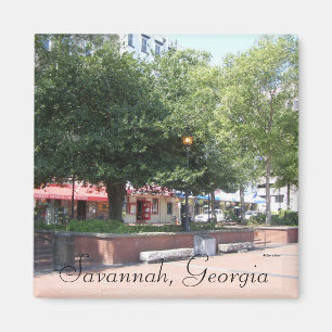 Savannah, Georgien Magnet