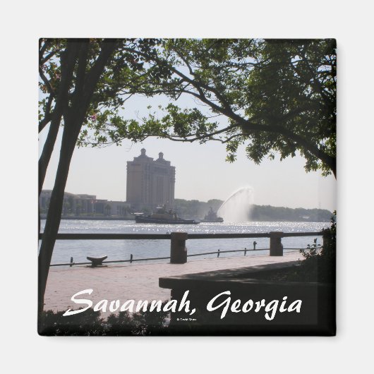 Savannah, Georgien Magnet (Vorne)
