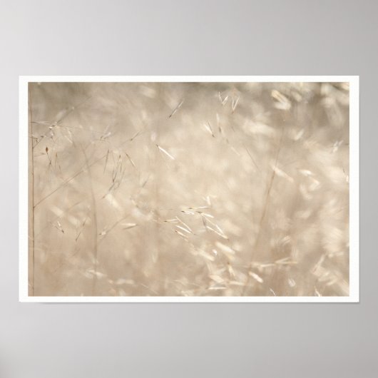 Savannah Golden Grass A3 Poster (Vorne)