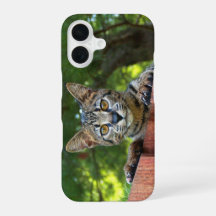 Savannah-Katzen-Handyhülle