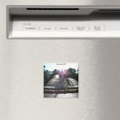 Savannah Magnet (In Situ (Geschirrspüler))