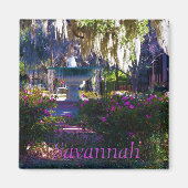 Savannah Magnet 18 (Vorne)