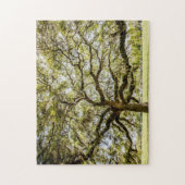 Savannah Mighty Oak Souvenir Herausforderung Puzzl Puzzle (Vertikal)