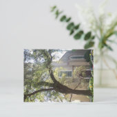 Savannah Mossy Cathedral Postkarte (Stehend Vorderseite)