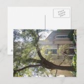 Savannah Mossy Cathedral Postkarte (Vorne/Hinten)