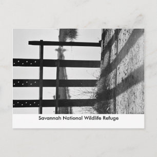 Savannah National Wildlife R.. Postkarte