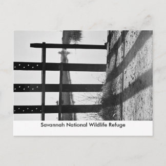 Savannah National Wildlife R.. Postkarte