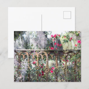 Savannah Post Card Laurel Grove Postkarte