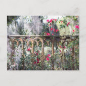 Savannah Post Card Laurel Grove Postkarte (Vorderseite)