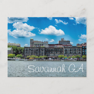Savannah Postkarte
