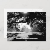 Savannah Postkarte (Vorne/Hinten)