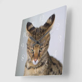 Savannah ‎ quadratische wanduhr (Winkel)