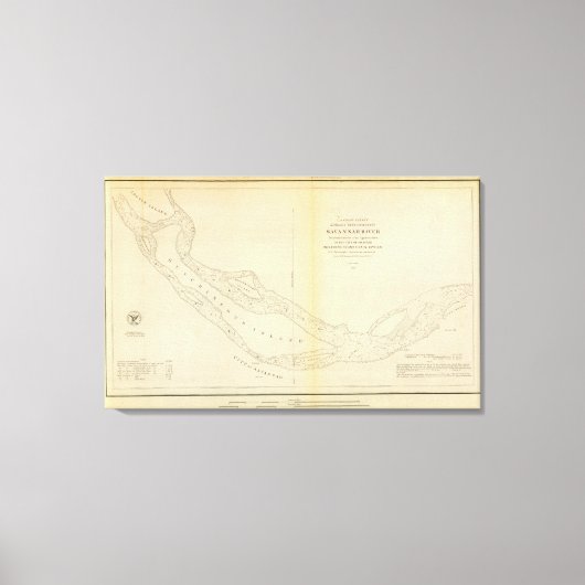 Savannah River Leinwanddruck (Vorderseite)