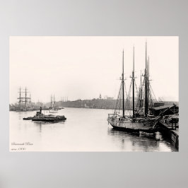 Savannah River Poster