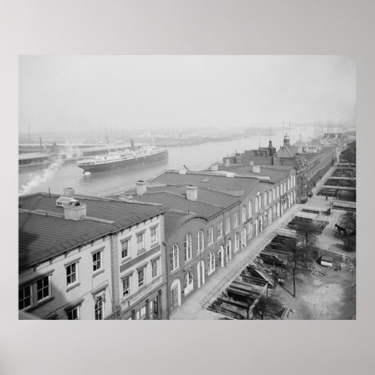 Savannah River Poster (Vorne)