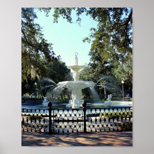 Savannah Serie: Springbrunnen Poster (Vorne)
