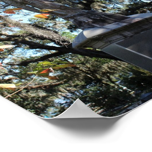 Savannah Series: Bonaventure Angel Statue Poster (Ecke)