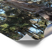 Savannah Series: Bonaventure Friedhof Angel Poster (Ecke)